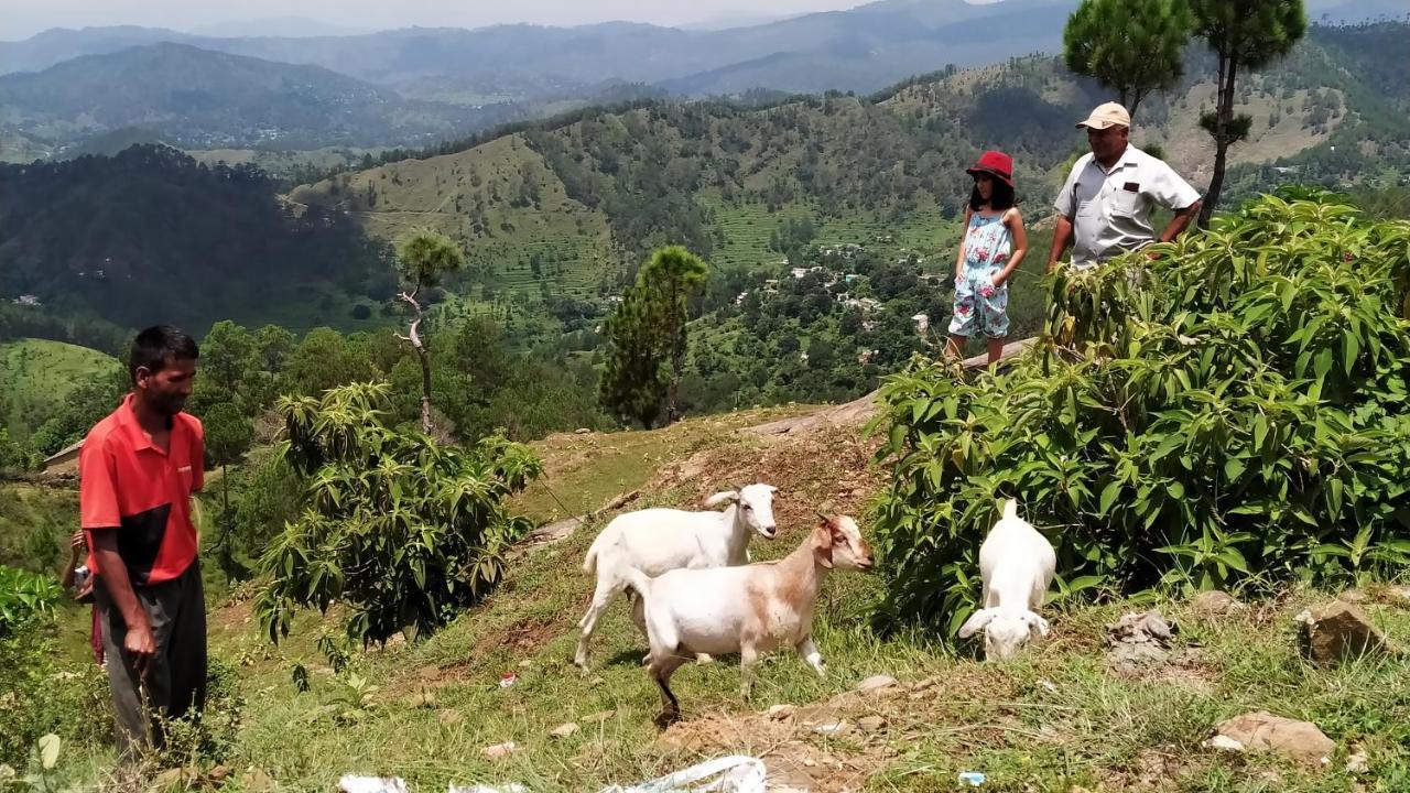 Dwarahat Village Farmstay- Babaji'S Cave Экстерьер фото