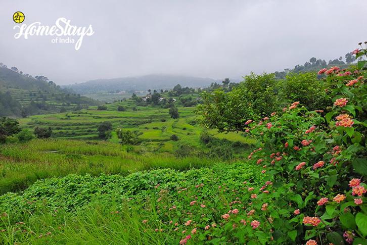 Dwarahat Village Farmstay- Babaji'S Cave Экстерьер фото