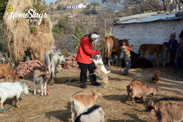 Dwarahat Village Farmstay- Babaji'S Cave Экстерьер фото